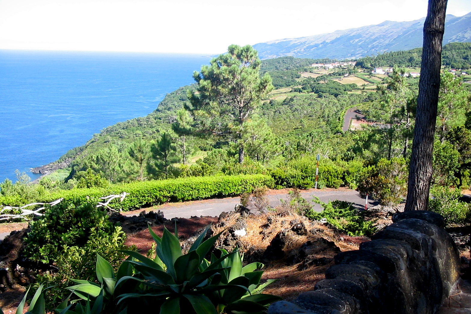 Ornamental Gardens
